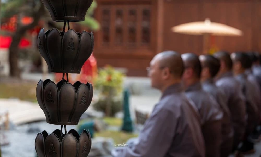 执着袈裟，投生为昆虫