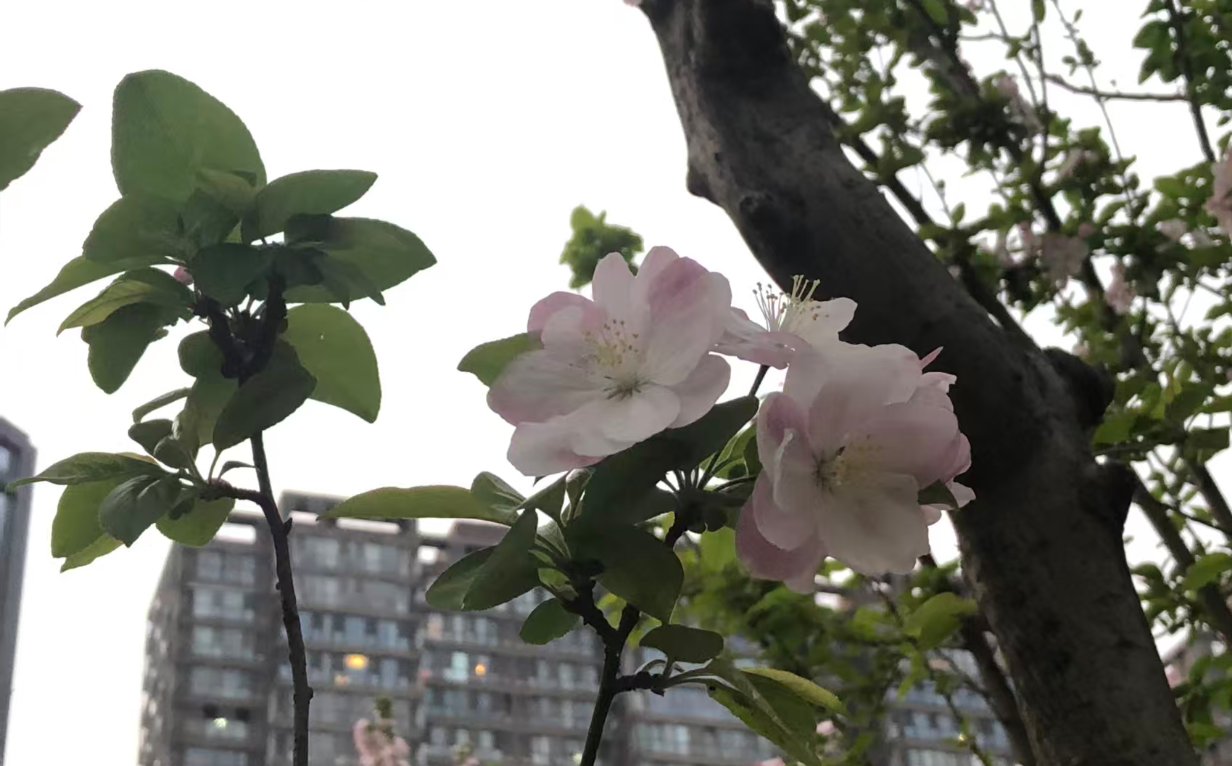 友谊、朋友到底是什么