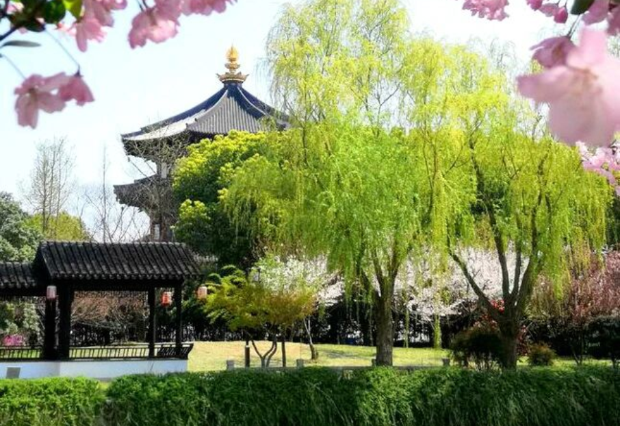 大梅法常禅师的悟道因缘